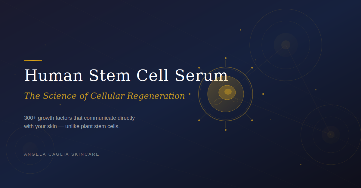 Human Stem Cell Serum blog image