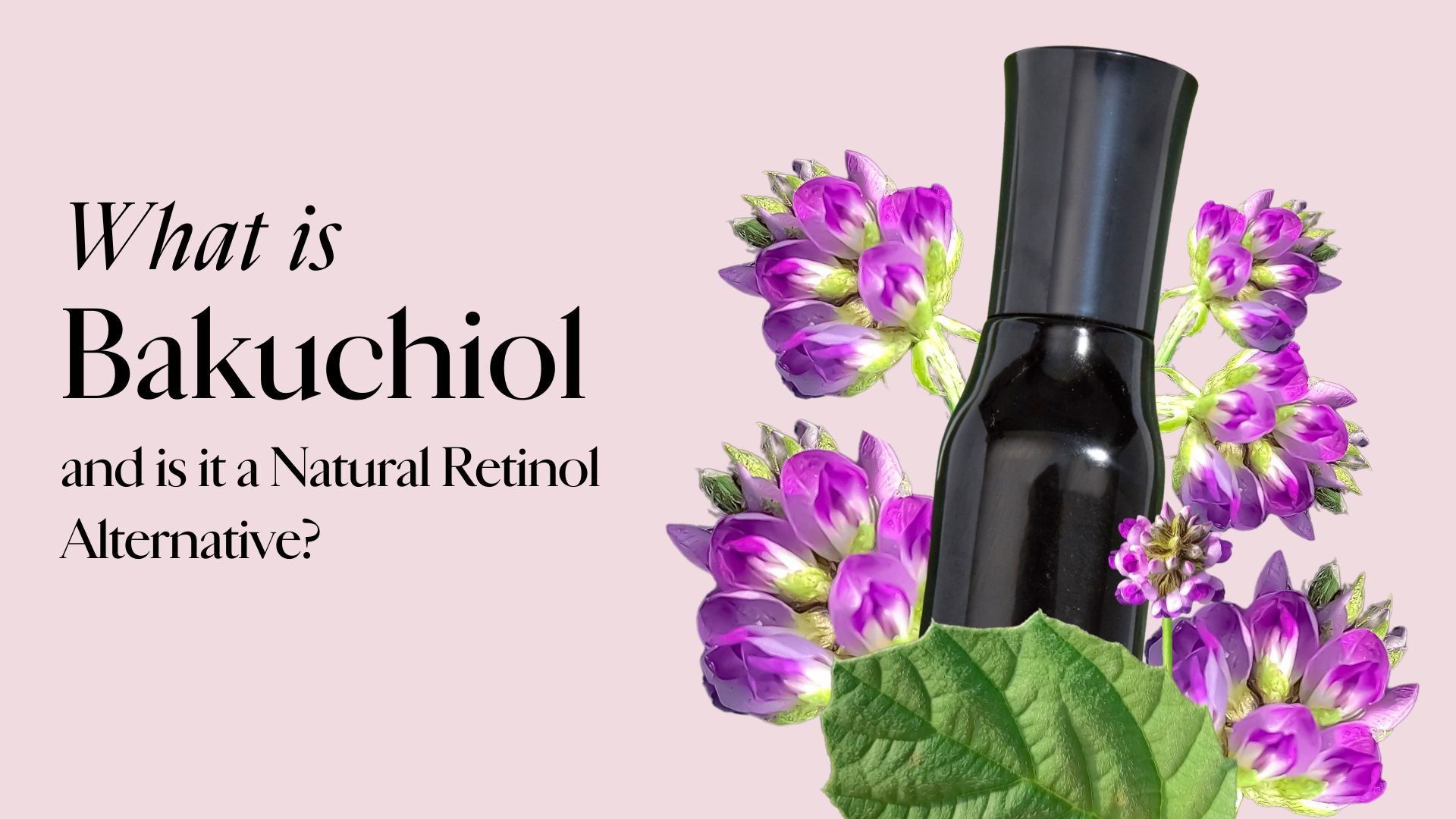 What is Bakuchiol and is it a Natural Retinol Alternative?