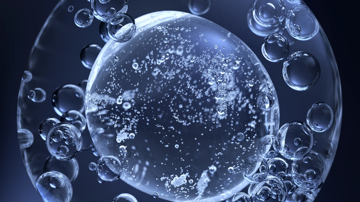 exosome 