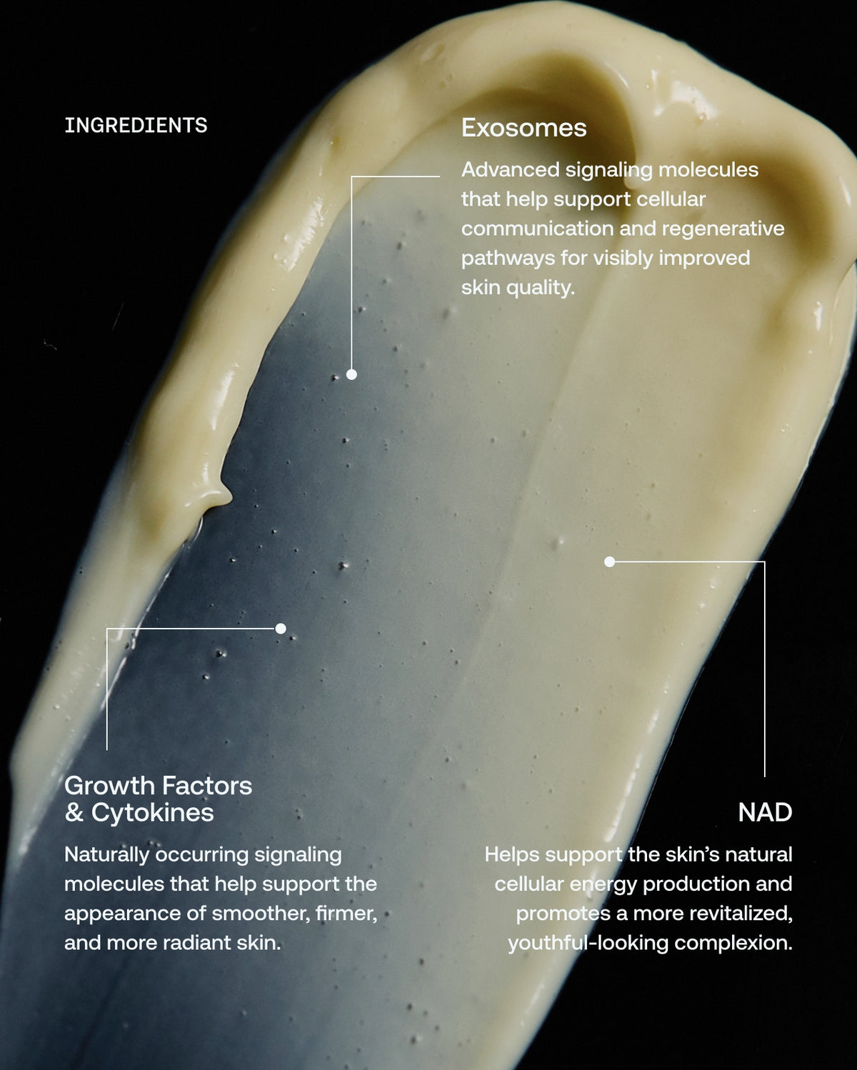 Cell Forté Face Crème | Regenerative Moisturizer with SignalSource™ Technology